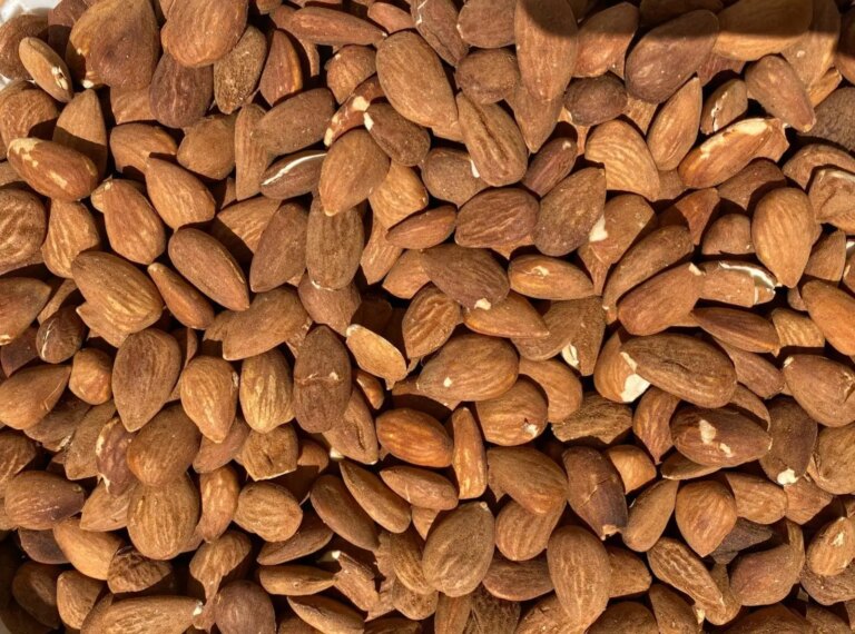Mangiare mandorle quotidianamente: impatti su colesterolo e glicemia da non sottovalutare