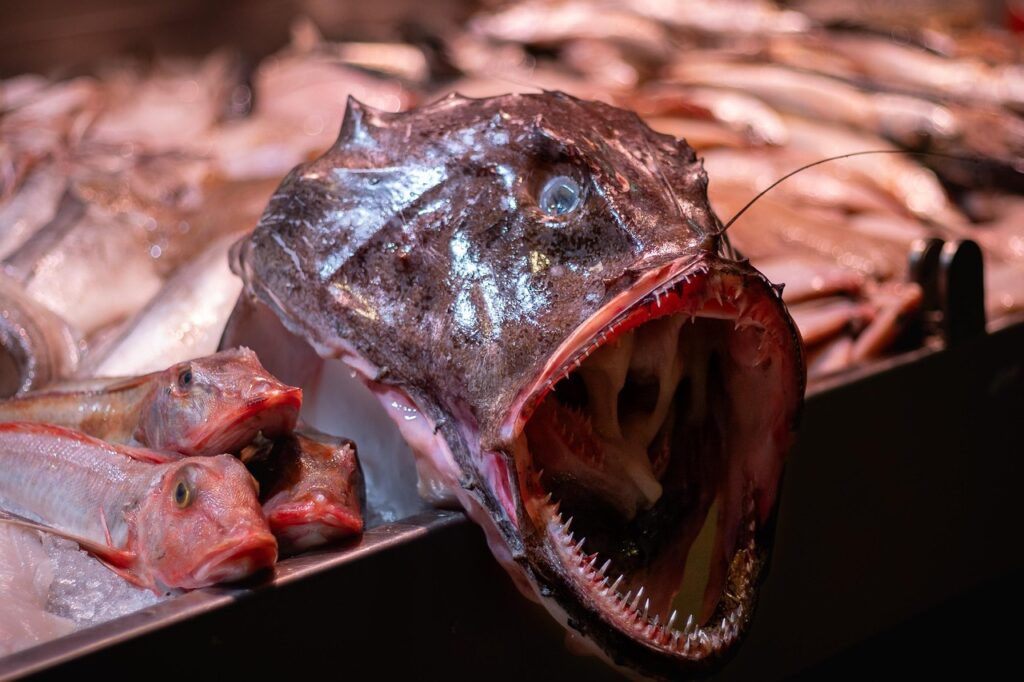 Pesci consigliati in gravidanza: scopri quali scegliere per la tua salute